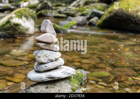 Primo piano di pile di rocce sulla riva del fiume in una foresta Foto Stock