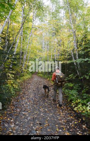 Un uomo cammina il suo cane attraverso i colori degli alberi autunnali sul sentiero Crack nel Killarney Provincial Park, Ontario, Canada. Foto Stock