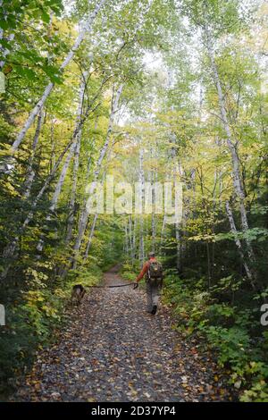 Un uomo cammina il suo cane attraverso i colori degli alberi autunnali sul sentiero Crack nel Killarney Provincial Park, Ontario, Canada. Foto Stock