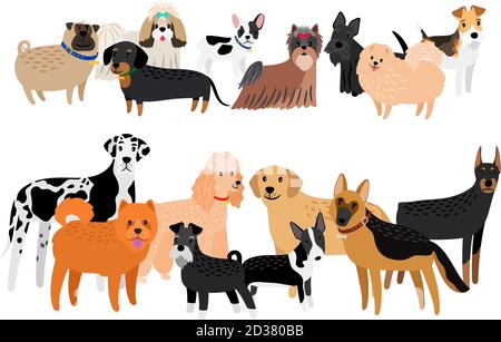 Immagine di razze di cani differenti. Vettore cartoon gruppo di cani, cute labrador e yorkshare terrier, amichevole doberman e divertente chihuahua doggie collezione di caratteri Illustrazione Vettoriale