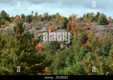 Colori autunnali in una foresta mista di conifere e decidui tra le colline rocciose e le scogliere del Killarney Provincial Park, Ontario, Canada. Foto Stock