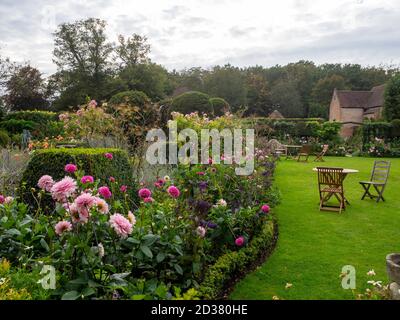 Chenies Manor giardini nel mese di settembre. Dahlias rosa 'Karma Prospero', 'barra' Rose Ballerina nel lungo confine erbaceo, prato con sedie da giardino. Foto Stock