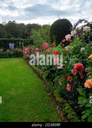 Chenies Manor giardino nel mese di settembre. Varietà Dahlia tra cui, 'MR Frans', 'Karma Fuchsiana', 'Waltzing Matilda', Ballerina Rose incorniciata dagli archi. Foto Stock