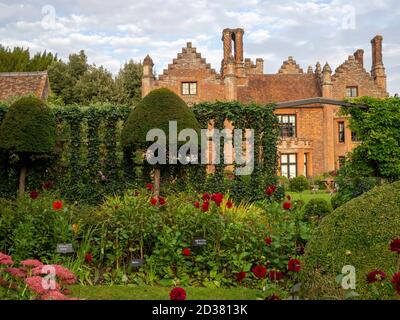 Chenies Manor House al sole con alti camini Tudor; il giardino sommerso, topiario, trellis rivestito di edera, Dahlia 'Karma Irene', 'Weston Pirate', 'Karma Choc'. Foto Stock