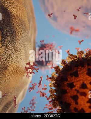 Virus Corona (Covid 19) infettando una cellula. Anitisbodies sono presenti. Un modello accurato basato su dati strutturali scientifici della banca dati proteici. Foto Stock