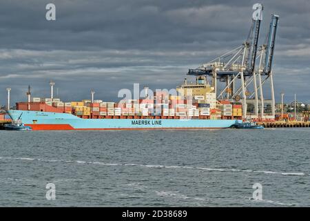 AUCKLAND, NUOVA ZELANDA - Mar 01, 2019: Auckland / Nuova Zelanda - Marzo 13 2019: Orivia Maersk nave container attraccata con l'aiuto di rimorchiatore a Auckl Foto Stock