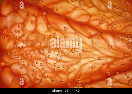 Primo piano di un pompelmo all'interno. Frutta agrumi grapefruit texture sfondo Foto Stock