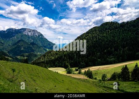 Vista estiva della Valle di Logar in montagne di Kamnik, Slovenia Foto Stock