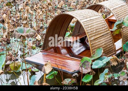 Una piccola barca di legno in una capanna di bambù nel foglia di loto dello stagno Foto Stock