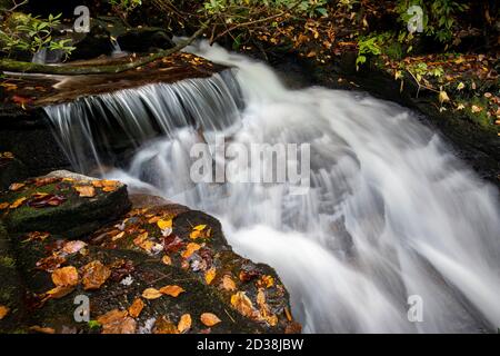 Cascade on Reece Place Falls - Headwaters state Forest, vicino a Brevard, North Carolina, USA Foto Stock