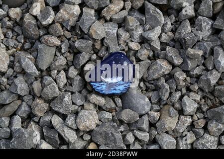 Foto ad alto angolo di una pietra splendidamente dipinta sul piccole rocce Foto Stock