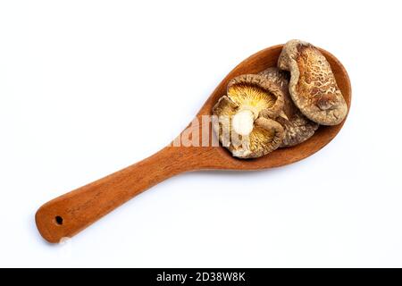 Funghi shiitake secchi su cucchiaio di legno su fondo bianco. Foto Stock