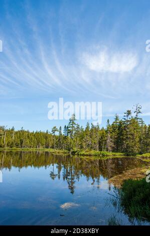 Vista panoramica sul lago Laverty. Alberi di abete rosso riflessi nel lago. Cielo blu con nuvole di circo. Parco nazionale di Fundy, New Brunswick, Canada Foto Stock