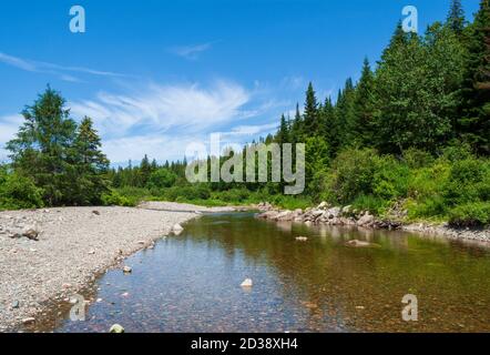 Broad River lungo il Moosehorn Trail. Calmo torrente che scorre attraverso una foresta acadiana con alberi di abete rosso. Parco nazionale di Fundy, New Brunswick, Canada. Foto Stock