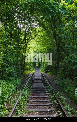 Love Tunnel (sezione ferroviaria situata nella foresta vicino a Klevan, Ucraina. Così chiamato perché prima da questo senso ragazze da un villaggio vicino e soldati da Foto Stock