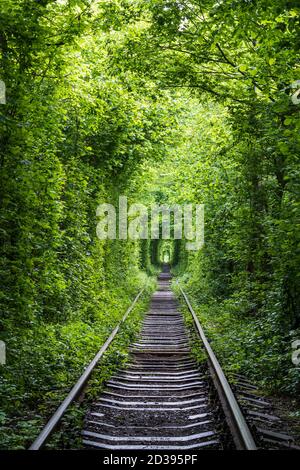 Love Tunnel (sezione ferroviaria situata nella foresta vicino a Klevan, Ucraina. Così chiamato perché prima da questo senso ragazze da un villaggio vicino e soldati da Foto Stock