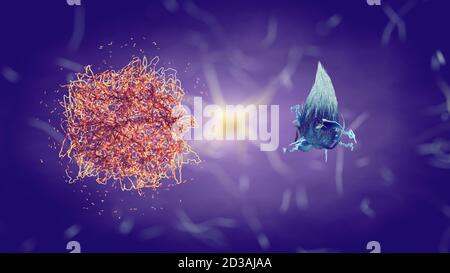 La proteina beta amiloide/placca amiloide e l'aggregato proteico Tau/groviglio neurofibrillare sono primari Marcatori per la malattia di Alzheimer Foto Stock