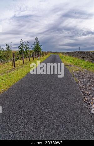 Tipico vicolo di campagna britannico vuoto - strada di campagna Foto Stock