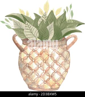 Houseplant stile boho in un cesto. Casa di design accogliente dipinta a mano. Fiore di casa per interni in stile scandinavo Illustrazione Vettoriale