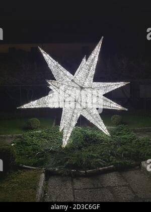 Una stella gigante con migliaia di lampadine bianche che illumina molti rami di pino alle feste Foto Stock