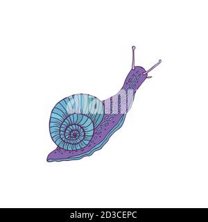 Lumaca blu-lilla. Elemento decorativo a spirale a caratteri cartoni animati. Illustrazione Vettoriale