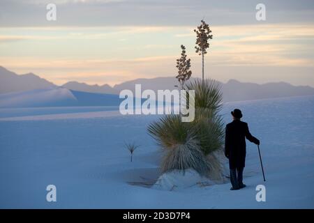 Vista posteriore dell'uomo in un cappotto e bowler in piedi in un paesaggio di dune bianche, scarsa illuminazione Foto Stock