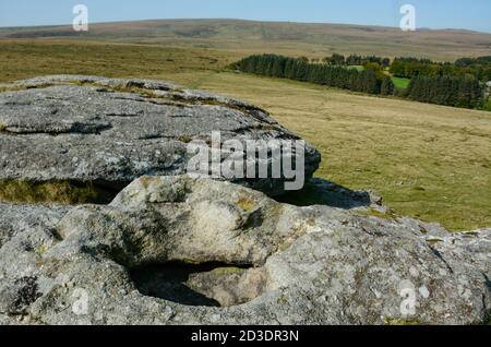 Bacino naturale di roccia a Kestor Rock su Dartmoor Foto Stock