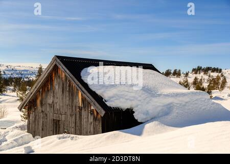 STRYN, NORVEGIA - 2018 MARZO 29. Copertura cabina abbandonata con neve. Foto Stock