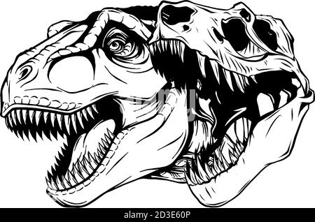 Tyrannosaurus rex disegno di illustrazione di vettore fossile del cranio Illustrazione Vettoriale