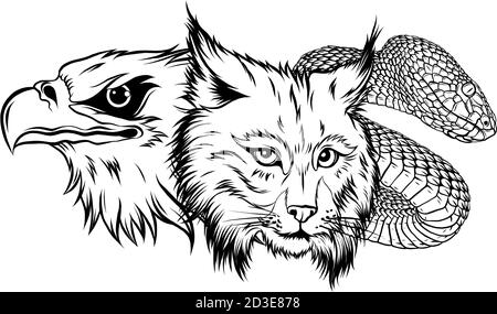 Lynx Wildcat Eagle serpente mascotte con logo Illustrazione Vettoriale