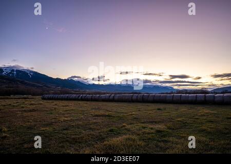 Tosa d'alp, Cerdanya. Foto Stock