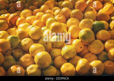 Turco mercato contadino. Cumulo di fresca frutta organica sul contatore arance, mandarini Foto Stock
