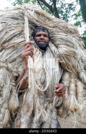 Un commerciante del Bangladesh lo trasporta subito dopo la raccolta dagli agricoltori a Manikganj, in Bangladesh. Foto Stock