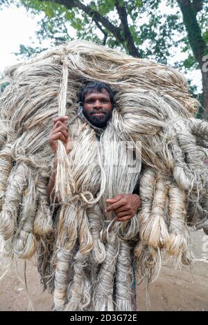 Un commerciante del Bangladesh lo trasporta subito dopo la raccolta dagli agricoltori a Manikganj, in Bangladesh. Foto Stock