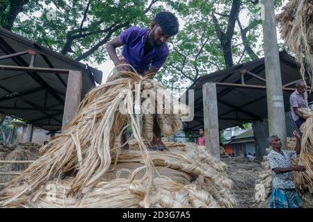 I commercianti del Bangladesh caricano la iuta su un veicolo a Manikganj, Bangladesh. Foto Stock