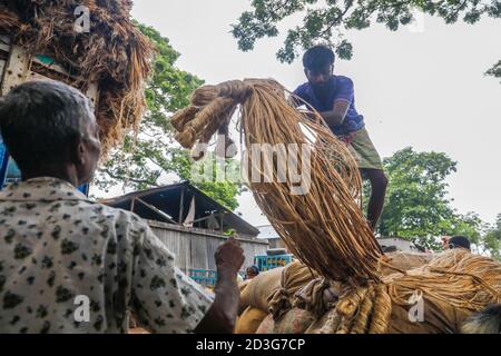 I commercianti del Bangladesh caricano la iuta su un veicolo a Manikganj, Bangladesh. Foto Stock