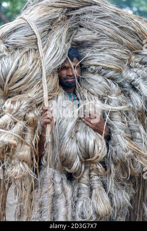 Un commerciante del Bangladesh lo trasporta subito dopo la raccolta dagli agricoltori a Manikganj, in Bangladesh. Foto Stock