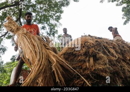 I commercianti del Bangladesh caricano la iuta su un veicolo a Manikganj, Bangladesh. Foto Stock