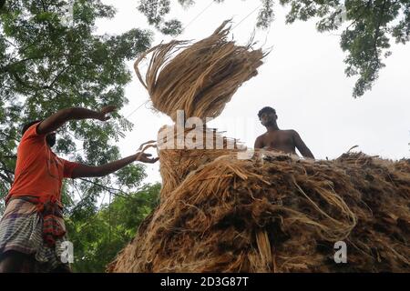 I commercianti del Bangladesh caricano la iuta su un veicolo a Manikganj, Bangladesh. Foto Stock