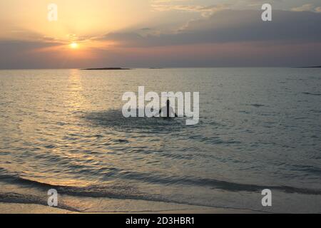 Un uomo gioca al Tramonto a Panagia Beach nell'isola di Elafonisos, nella parte meridionale del Peloponneso, in Grecia Foto Stock