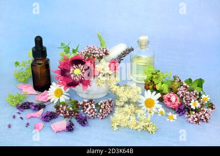Preparazione di olio essenziale per l'uso in aromaterapia e medicina naturale a base di erbe con fiori estivi ed erbe con contagocce e bottiglie di olio. Foto Stock