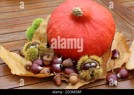 Castagne, buccia, quercia, zucca e foglie morte su un tavolo dopo la vendemmia in autunno Foto Stock