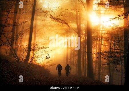 Atmosfera luminosa surreale in una foresta, con i raggi del sole che cadono attraverso la nebbia autunnale e le sagome di due persone in bicicletta su un sentiero Foto Stock