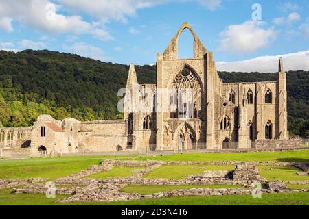 Tintern Abbey, Monmouthshire, Galles, Regno Unito. L'abbazia cistercense cadde in rovina dopo lo scioglimento dei monasteri nel regno del re Foto Stock