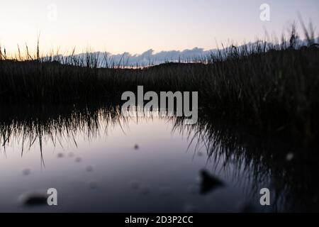 L'acqua del lago riflette l'erba scura dell'ombra, che cresce intorno al lago, e il cielo dorato e rosato è al crepuscolo dopo il tramonto. Foto Stock