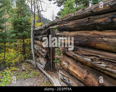 Capanna di tronchi presso il sito della miniera Old Maid, Dexter Creek Trail, Uncompahgre National Forest, Ouray, Colorado. Foto Stock