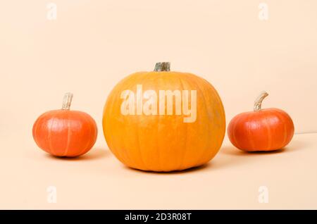 Tre zucche arancioni di Halloween su sfondo giallo brillante Foto Stock