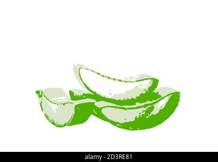 Primo piano della fetta di aloe vera su sfondo bianco Foto Stock