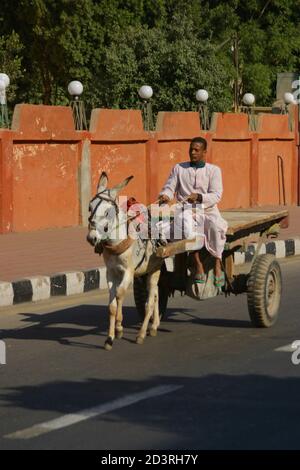 Nelle strade della città di Luxor, il ritmo della vita è calmo. Asini e carrelli gestiscono il trasporto di merci Foto Stock