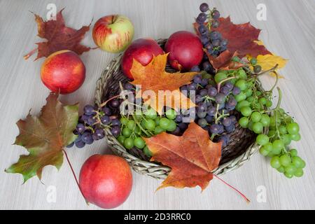 Foglie d'acero, nettarine, uva e altri doni della natura. Autunno ancora vita. Foto Stock